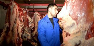 В ЮКО сельхозкооперативы развиваются при государственной финансовой поддержке В ЮКО сельхозкооперативы развиваются при государственной финансовой поддержке