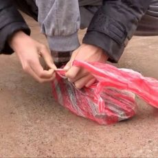 Необычное средство защиты используют шымкентцы, чтобы добраться домой Необычное средство защиты используют шымкентцы, чтобы добраться домой