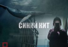«Синий кит» добрался до Шымкента "Синий кит" добрался до Шымкента