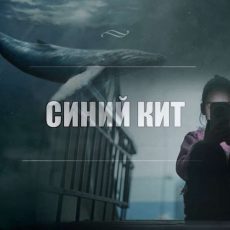 «Синий кит» добрался до Шымкента "Синий кит" добрался до Шымкента
