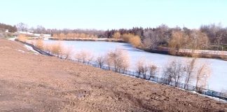 Руководство шымкентского денропарка просит горожан не беспокоиться Санитарная обрезка дендропарка