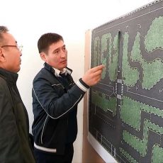 Как получить права в Шымкенте