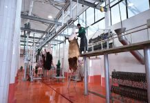 Мясокомбинат «ЮКО-ЭКО-FOOD» открылся в  Сайрамском районе ЮКО