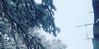 В выходные дни синоптики прогнозируют снег Снег в Шымкенте