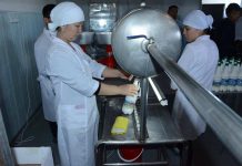 Сухое верблюжье молоко из Казахстана будут поставлять на рынки Китая