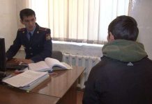 Домашний скот, автозапчасти, бытовая техника — грабители в ЮКО тащили все подряд В ЮКО задержали одного из грабителей