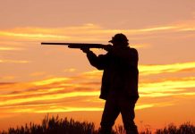 В Казахстане ввели ограничение на весеннюю охоту на дичь В Казахстане ввели ограничения в сезон охоты