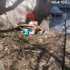 Мусор в центре города Шымкент Мусор в центре города Шымкент