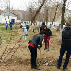 В Шымкенте прошел общегородской субботник (фоторепортаж) Общегородской субботник в Шымкенте