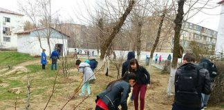 В Шымкенте прошел общегородской субботник (фоторепортаж) Общегородской субботник в Шымкенте