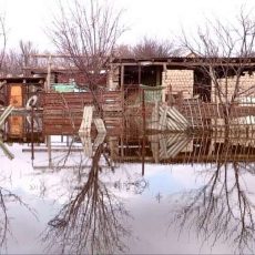 В поселке Мактааральского района ЮКО вода затопила дворы, дома и амбулаторию