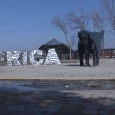 В шымкентском зоопарке ожидается сдача в эксплуатацию африканской зоны Африканская зона в зоопарке Шымкента