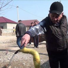 Водовод за 300 миллионов получили жители мкр Кызылжар в Шымкенте Питьевая вода появилась в микрорайоне Кызылжар