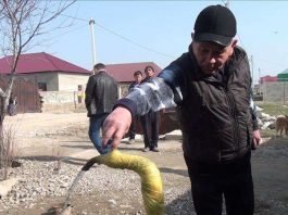 Питьевая вода появилась в микрорайоне Кызылжар