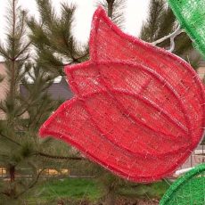 Гигантские тюльпаны будут стоять на улицах Шымкента, пока не «завянут» Тюльпаны на улицах Шымкента