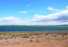 В уникальном озере в ЮКО сменился состав воды