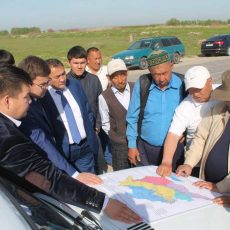 В Арыси проводится усиленная борьба с саранчой В Арыси начали бороться с саранчой