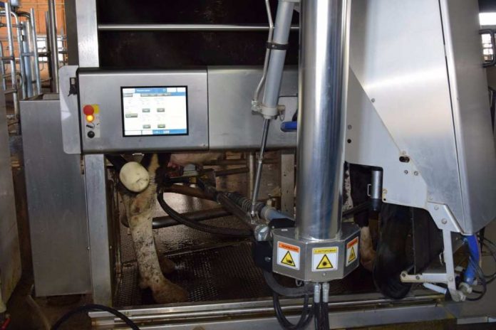 Роботы-доярки трудятся на молочной ферме в ЮКО
