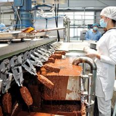 10 тонн местного мороженого отправит ЮКО на EXPO-2017 Завод по производству мороженого