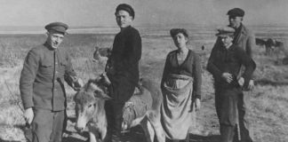 29 дней до Победы. Внешне в Чимкенте было тихо и спокойно. Глубокий тыл… Чимкент в годы войны