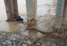 В реке Келес Южно-Казахстанской области ищут трехлетнего малыша Водолазы ищут ребенка