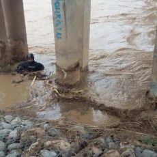 В реке Келес Южно-Казахстанской области ищут трехлетнего малыша Водолазы ищут ребенка