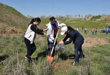 В Шымкенте разбит еще один парк по программе «Шаткал» В Шымкенте появился новый парк