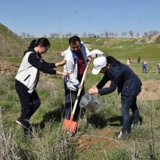 В Шымкенте разбит еще один парк по программе «Шаткал» В Шымкенте появился новый парк
