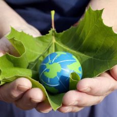 Независимость страны: что она значит для тебя? Руки держат лист и шар