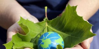 Независимость страны: что она значит для тебя? Руки держат лист и шар