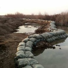 Обильные дожди в ЮКО привели к подтоплениям и разрушениям Укрепление берегов реки