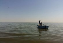 В ЮКО продолжается операция «Нерест»