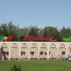 Вход в зоопарк Шымкента стал дешевле Зоопарк в Шымкенте