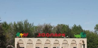 Увидеть шымкентский зоопарк и… обалдеть! Зоопарк в Шымкенте