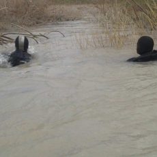 Тело пропавшей в ЮКО семилетней девочки нашли спустя два дня Водолазы на реке