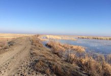 Пропавшие в Сузаке рыбаки найдены в Карагандинской области Река Шу в Созаке