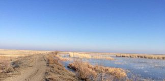 В ЮКО пропали рыбаки Река Шу в Созаке