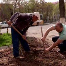 Профсоюзы Шымкента предлагают присодиниться к акции «Цветущий город» Профсоюзы Шымкента предлагают присодиниться к акции "Цветущий город"