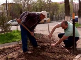 Профсоюзы Шымкента предлагают присодиниться к акции "Цветущий город"