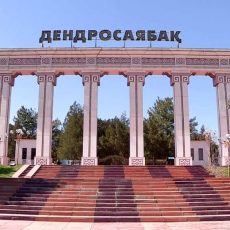 Посетить шымкентский дендропарк пока можно за прежнюю цену в 24 тенге Дендропарк Шымкента