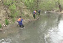 Городские реки из-за стихийных застройщиков приходится чистить вручную Очистка Кошкараты