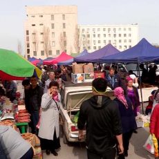 На продовольственных ярмарках пропали машины стабфонда Продовольственная ярмарка в Шымкенте