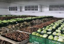 Судебные разбирательства по хищениям в стабфонде ЮКО еще продолжаются Овощи из стабфонда