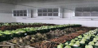 Аскар Мамин: Акимы должны держать вопрос по недопущению роста цен Овощи из стабфонда