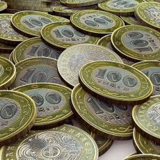 В Нацбанке объяснили нехватку монет в Казахстане 100 тенге. Акцию "Монета жизни" запустили защитники собак