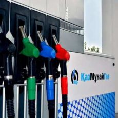 В Казахстане введут ценовой мораторий на бензин АИ-92 и дизтопливо Ожидается подорожание бензина