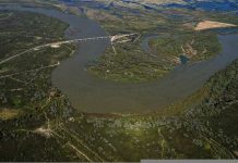 Контроль за паводками: Туркестанская область усиливает меры безопасности В ЮКО нет угрозы весенних паводков