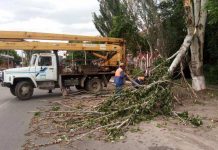 В целях безопасности власти Шымкента просят не отпускать детей на улицу 30 мая Сильный ветер поломал деревья