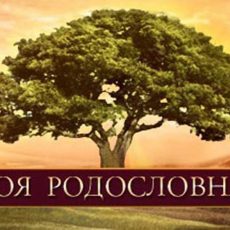 До седьмого колена… Дерево