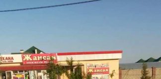 Два ДТП произошли в Шымкенте прошедшей ночью